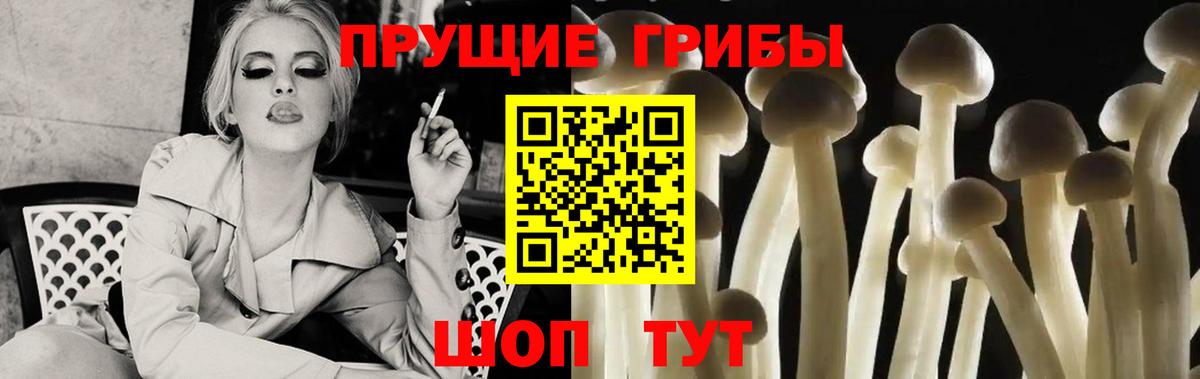 Галлюциногенные грибы Cubensis  Галлюциногенные грибы GOLDEN TEACHER  Вход с VPN  Воскресенск 
